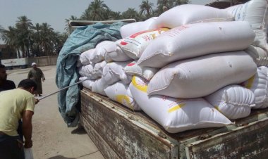 توريد 211 طن قمح لشون وصوامع الأقصر