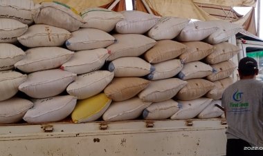 بالصور.. تموين كفر الشيخ تعلن توريد 5464 طن قمح للصوامع