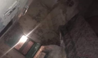 انهيار عقار مكون من طابقين في كرموز بالإسكندرية