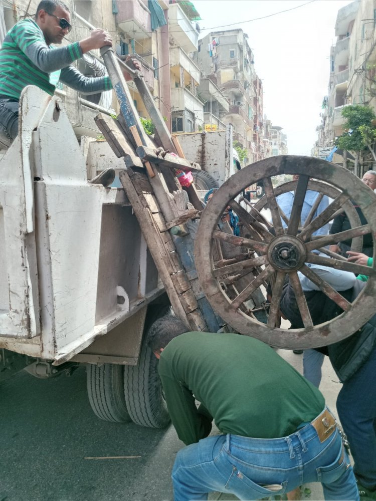 الشريف يوجه بتكثيف الحملات المكبرة لإزالة الإشغالات فى أحياء الإسكندرية