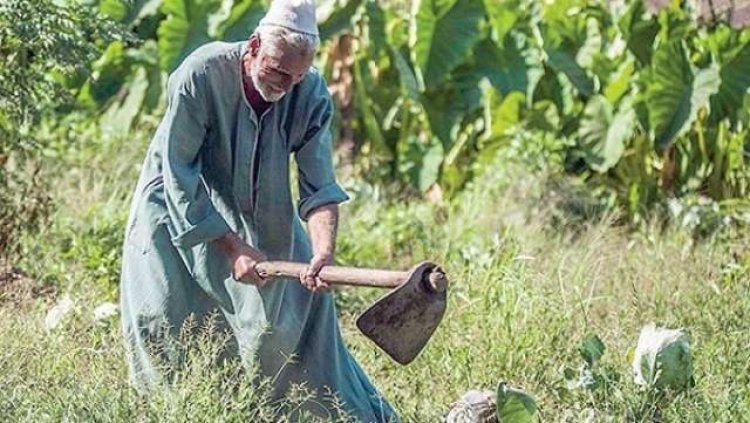 الحكومة تنفي تعديل أحكام قانون الإصلاح الزراعي