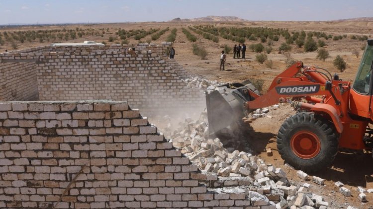 الجيزة تسترد  «170 فدان زراعي» متعدى عليها بالواحات البحرية| صور