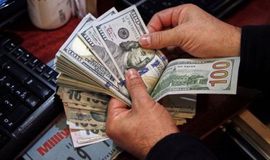 استقرار سعر الدولار أمام الجنيه في أول أيام العيد