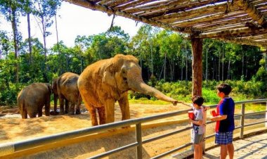 في أول أيام عيد الفطر.. حديقة الحيوان تستقبل 40 ألف زائر