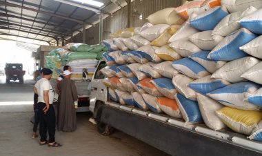 استلام 228 طن قمح في صوامع كفر الشيخ