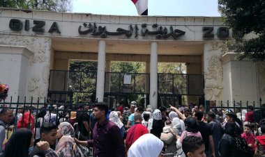  300 ألف زائر لحديقة الحيوان بالجيزة خلال عيد الفطر 