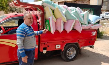 محافظ البحيرة: توريد 8175 طن قمح لشون وصوامع المحافظة