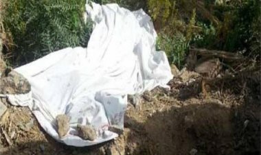 طلب منه شراء علف للماشية.. القبض على المتهم بإنهاء حياة مزارع بالمنوفية