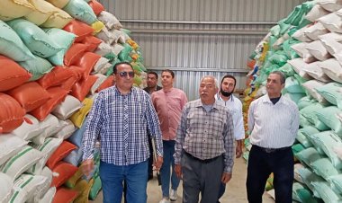 الزراعة: تخفيض أسعار تأجير معدات الحصاد لتشجيع المزارعين على استخدام الميكنة