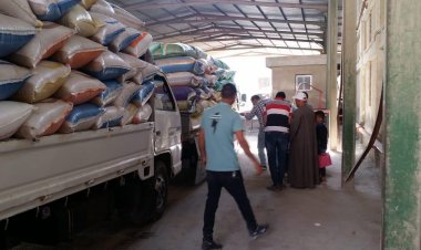 استلام أكثر من 42 ألف طن قمح بصوامع كفر الشيخ