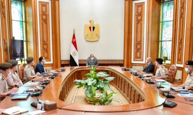 الرئيس السيسي يتابع موقف مشروعات الإنتاج الزراعي في توشكى والدلتا الجديدة