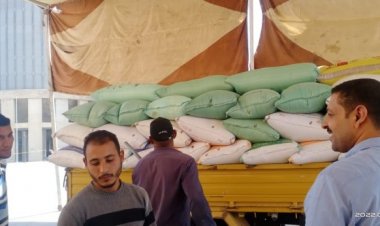 صوامع كفر الشيخ تستقبل أكثر من 52 طن قمح| صور