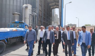 محافظ البحيرة يشهد أعمال موسم حصاد الذهب الأصفر