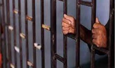 حبس سائق بتهمة إنهاء حياة زوجته بالجيزة.. «رفضت العودة إلى المنزل»