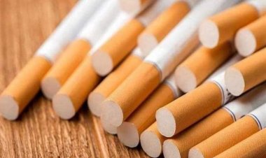 الشرقية للدخان: 11% زيادة في مبيعات السجائر بقيمة 10.8 مليار جنيه 