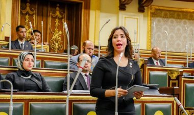  النائبة غادة علي توجه  الشكر للحكومة بعد العبور من الأزمة الاقتصادية العالمية