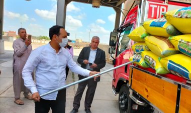 لجان القمح في الإسكندرية تواصل استقبال الأقماح الموردة للصوامع والبناكر