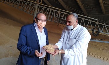 محافظ الإسكندرية: توريد 2267 طن قمح لصوامع المحافظة منذ بداية توريد الأقماح