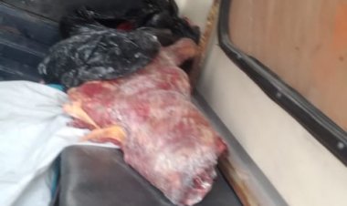 ضبط كميات كبيرة من الأغذية بتموين الإسكندرية