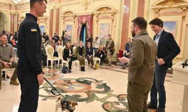 اكتشف أكثر من 200 قنبلة.. الرئيس الأوكراني يمنح وسام الشرف لـ«كلب بوليسي»