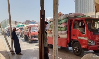 تموين كفر الشيخ تتسلم 75 ألف طن قمح| صور