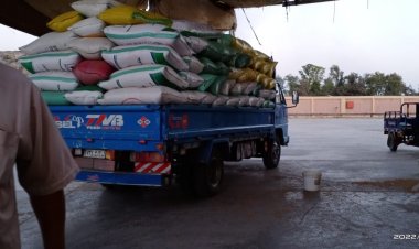 صوامع كفر الشيخ تتسلم 145 ألف طن قمح