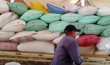 صوامع كفر الشيخ تتسلم 127 ألف طن قمح