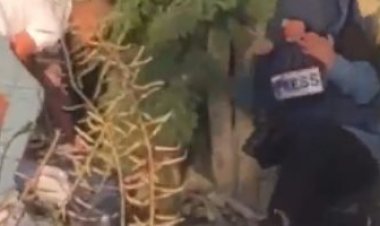 الصحفي المرافق لـ «شيرين أبوعاقلة» يروي لحظات مقتلها وإصابته