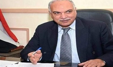 الزراعة: توفير تقاوي الذرة الصيفية بدرجة جودة عالية