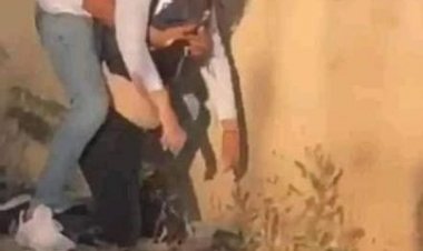 مصر تدين مقتل الصحفية شيرين أبوعاقلة: «انتهاكات واضحة»