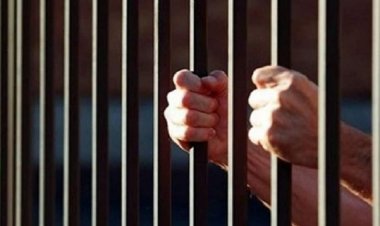 السجن 3 سنوات لسائق بتهمة الاتجار في المخدرات بالإسكندرية