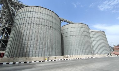 شون وصوامع البحيرة تستقبل 97 ألف طن قمح منذ بدء موسم الحصاد