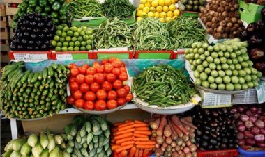 تراجع أسعار الخضروات.. انخفاض كبير بسعر ورق العنب والطماطم