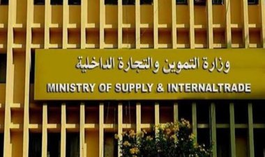 تموين الأقصر: توريد 7995 طن قمح من المزارعين لشون المحافظة