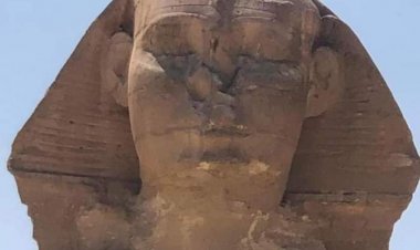 السبب الحقيقي لنوم «أبو الهول» من وجهة نظر السوشيال ميديا: «لعنة فراعنة»