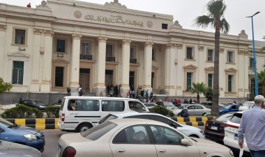 السجن 3 سنوات لصاحب مسمط أنهى حياة شقيقه في الإسكندرية