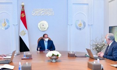 أمام الرئيس السيسي.. وزير الزراعة يستعرض مستجدات موسم حصاد القمح الحالي