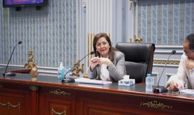 وزيرة التخطيط  أمام «الشيوخ»: 1.1 تريليون جنيه استثمارات عامة و 350 مليار جنيه استثمارات خاصة بخطة 2022/2023