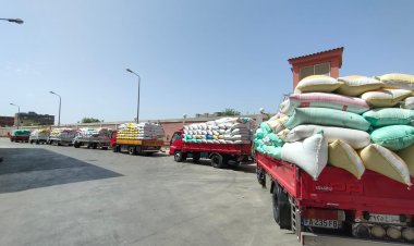 محافظ البحيرة: توريد 143 ألف طن قمح لشون وصوامع المحافظة