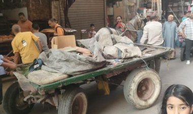 ضبط 20 «عربة كارو وتروسيكل» يلقون مواد صلبة ومخلفات بشوراع الجيزة