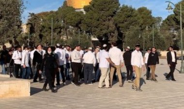 عشرات المستوطنين يقتحمون المسجد الأقصى.. بقيادة حاخام متطرف