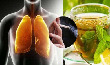 لو أنت مدخن.. عليك بهذه الأعشاب الطبيعية