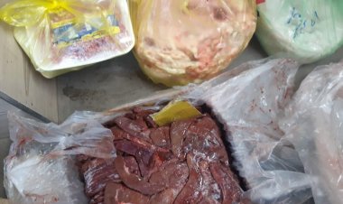 ضبط لحوم مجمدة وكبدة ومواد غذائية ومبيدات منتهية الصلاحية في البحيرة