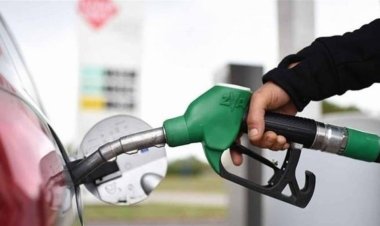 معلومات الوزراء: البنك الدولي يتوقع ارتفاع أسعارالطاقة 50% والنفط والقمح 40%