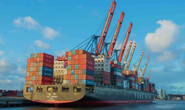 معلومات الوزراء:  ارتفاع صادرات مصر غير البترولية 20% منذ بداية العام