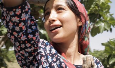 تعرف على مواعيد عرض فيلم «تحت الشجرة» في مهرجان كان السينمائي