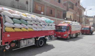 توريد 190 ألف طن قمح لشون وصوامع البحيرة