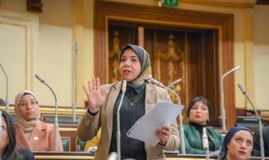 النائبة هيام الطباخ: البوابة الإلكترونية تعتبر صك أمان للحجاج