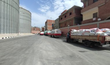 البحيرة: توريد 235 ألف طن قمح لشون وصوامع المحافظة