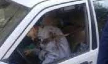 كشف تفاصيل اغتيال ضابط الحرس الثوري الإيراني «خداياري».. وعلاقته بقاسم سليماني